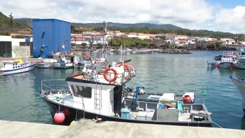 Imagem de Parecer jurídico considera inconstitucional proposta do PS para pesca do atum em áreas protegidas