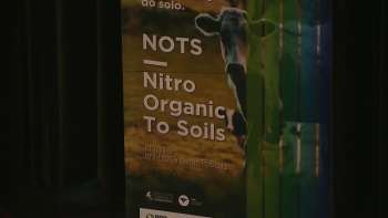 Imagem de Projeto NOTS defende substituição de azoto por leguminosas
