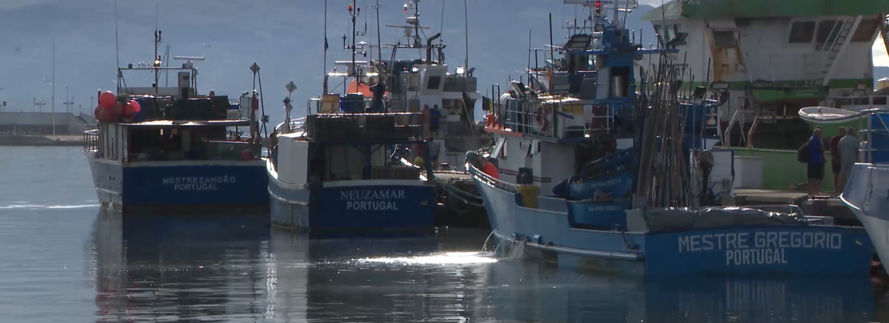 Imagem de Taxa de raio-X para transporte aéreo de pescado interilhas está suspensa por 3 meses