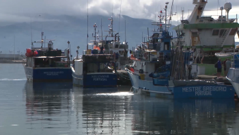 Imagem de Taxa de raio-X para transporte aéreo de pescado interilhas está suspensa por 3 meses