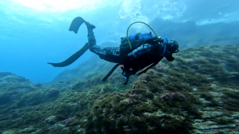 Imagem de CIIMAR propõe 15 ações para reforçar proteção das Áreas Marinhas Protegidas em Portugal