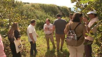 Imagem de Autárquicas 2025: Chega promete despedir burocratas que dificultem a vida aos agricultores