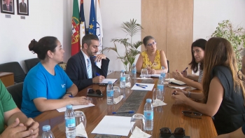 Imagem de Autárquicas 2025: Candidata da IL quer menos burocracia em Ponta Delgada para facilitar acesso à habitação