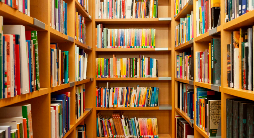 Imagem de Dia da Biblioteca Escolar comemorado na Horta