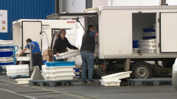 Imagem de Federação das Pescas solidária com o protesto da Associação de Comerciantes de Pescado