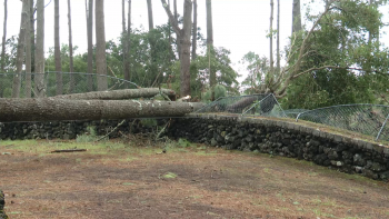 Imagem de Parque florestal de São João continua encerrado devido à passagem da tempestade Gabrielle