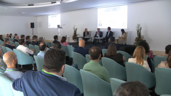 Imagem de Berta Cabral encerra as II Jornadas Regionais da Sustentabilidade em Ponta Delgada