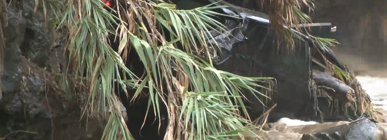 Imagem de Forte precipitação causou inundações em casas e danificou mais de 10 carros em Água de Pau