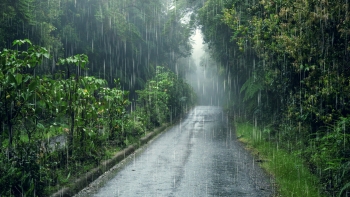 Imagem de Sete ilhas dos Açores sob aviso amarelo devido a chuva forte