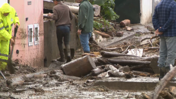 Imagem de Mais de 30 ocorrências: Mau tempo provoca estragos em São Miguel