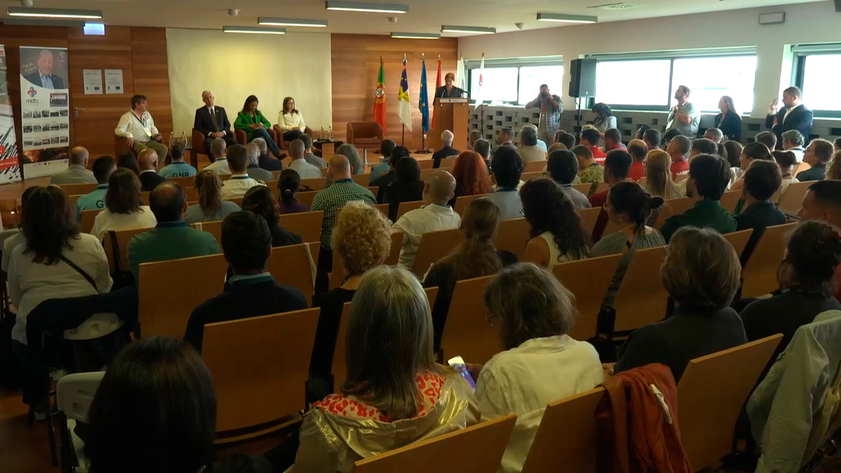 Mrmi Governo promove curso de MRMI na Praia da Vitória - RTP Açores