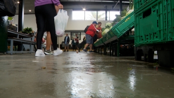Imagem de Mesmo depois das obras continua a chover dentro do Mercado da Graça