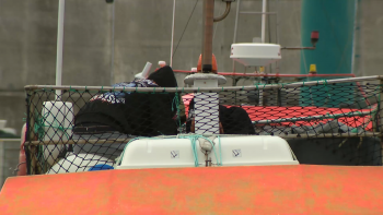 Imagem de Comerciantes de pescado: SATA suspende taxa durante 3 meses