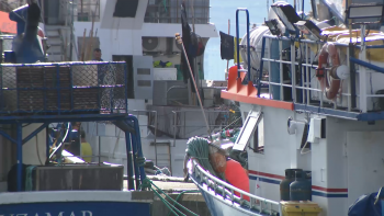 Imagem de Federação das Pescas preocupada com impacto do boicote à compra de peixe nas lotas da Região