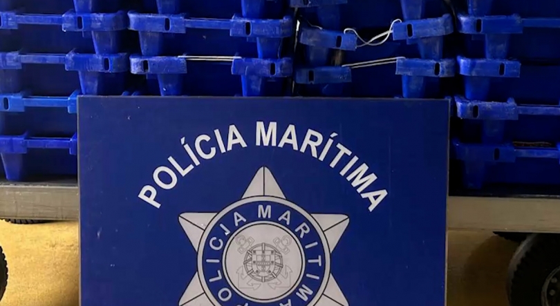 Imagem de Polícia Marítima apreende cerca de 115kg de pescado nos Açores