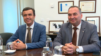 Imagem de Governos dos Açores e da Madeira vão trabalhar em conjunto para defender continuidade do POSEI Agricultura