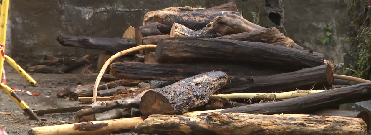 Imagem de Rescaldo mau tempo: Governo vai ativar Apoio à Emergência Climática