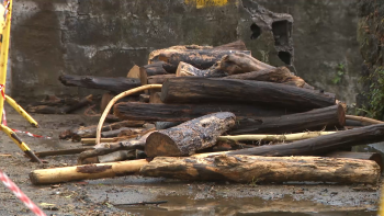 Imagem de Rescaldo mau tempo: Governo vai ativar Apoio à Emergência Climática