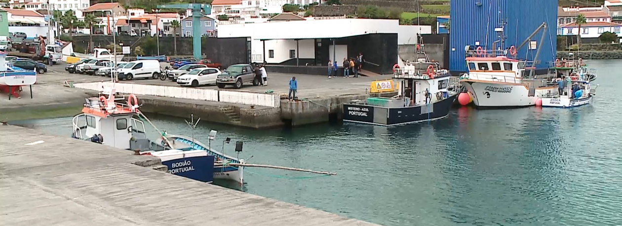 Imagem de Lota de São Mateus na Terceira tem mais de 5 toneladas de peixe por vender