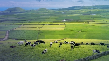 Imagem de MAPA desafia perceção: “Os agricultores são os primeiros ambientalistas”