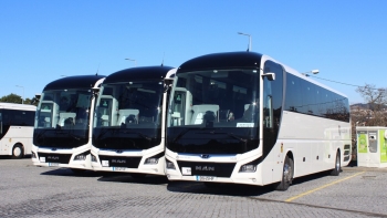 Imagem de Vale do Ave Transportes vence concurso para transporte público rodoviário em São Miguel nos próximos 10 anos