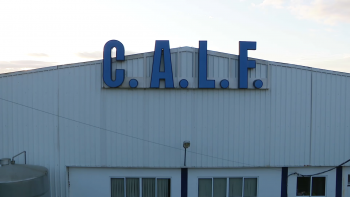 Imagem de Assembleia Geral CALF: Antigo presidente pede auditoria externa às contas da cooperativa