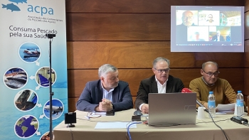 Imagem de Setor das Pescas exige retirada imediata da proposta do Governo para aumentar taxas da Lotaçor