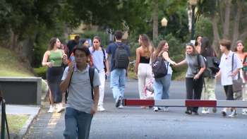 Imagem de Jovens luso-americanos de origem açoriana vão poder frequentar cursos de verão na Universidade dos Açores