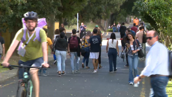 Imagem de Universidade dos Açores promove cursos de verão para estudantes luso-americanos
