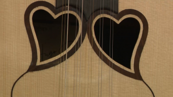 Imagem de Conservatório de Ponta Delgada está há 9 anos a leccionar curso de Viola da Terra sem homologação legal