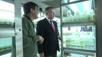 Imagem de Presidenciais 2026: António José Seguro esteve na ilha Terceira I RTP Açores