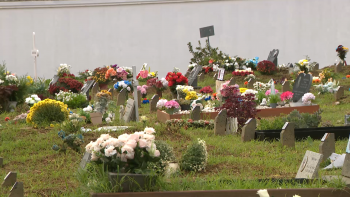 Imagem de Assinalou-se hoje o Dia de Todos os Santos