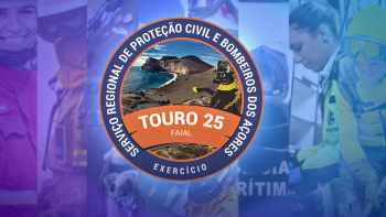 Imagem de Touro 25: Exercício juntou 22 entidades e 150 operacionais das ilhas do Triângulo