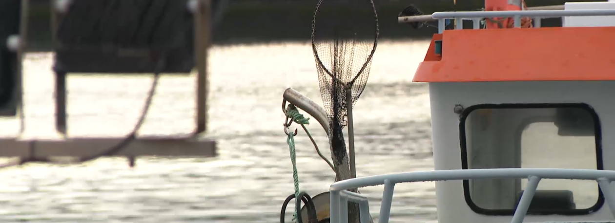 Imagem de Pescas: Representantes do comércio e indústria ponderam paralisação total