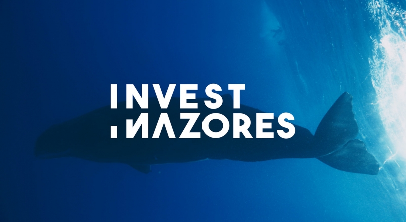 Imagem de Açores lançam plataforma para reforçar captação de investimento
