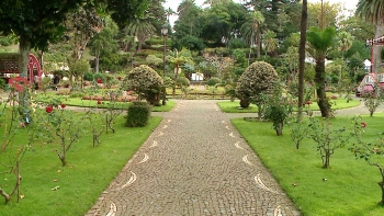 Imagem de Jardim Duque da Terceira vai integrar Rota dos Jardins Históricos Portugueses