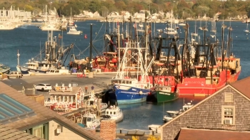 Imagem de Comunidade portuguesa em New Bedford sofre impacto das quotas de pesca