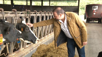 Imagem de PS vai apresentar uma proposta de alteração ao OE para que não regressem os rateios