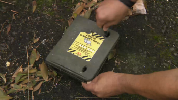 Imagem de Detido suspeito de tentar matar irmão com raticida em São Jorge