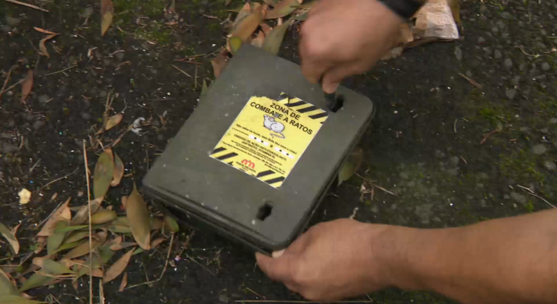 Imagem de Detido suspeito de tentar matar irmão com raticida em São Jorge