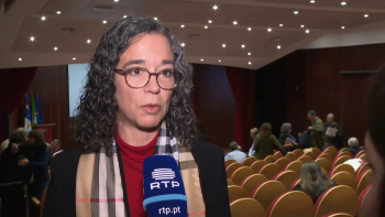 Imagem de Diretor Regional da Cultura não vai ser escolhido para já