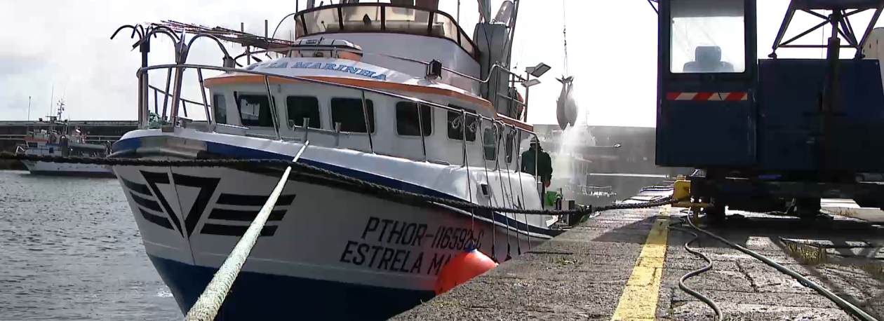 Imagem de Federação das Pescas critica cortes e alerta para ataque sem precedentes ao setor