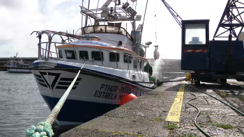 Imagem de Federação das Pescas critica cortes e alerta para ataque sem precedentes ao setor