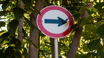 Imagem de Roubados cerca de 100 sinais de trânsito na ilha Terceira