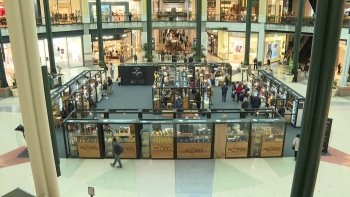 Imagem de Taste Azores: Aumenta a procura por produtos Marca Açores