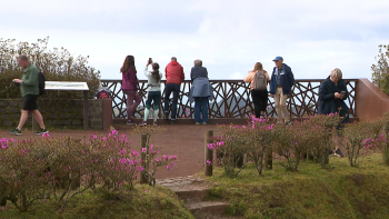 Imagem de Jornadas Internacionais Resíduos: Cada turista produz em média 3,5 kg de resíduos por dormida nos Açores
