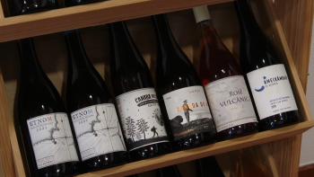 Imagem de Instituto da Vinha e do Vinho dos Açores inicia atividade no próximo ano