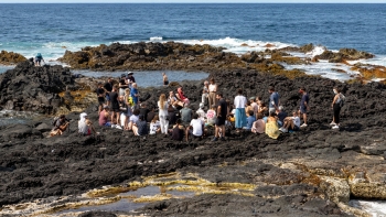 Imagem de Simpósio da Bienal Walk&Talk promove reflexão crítica e imaginação coletiva