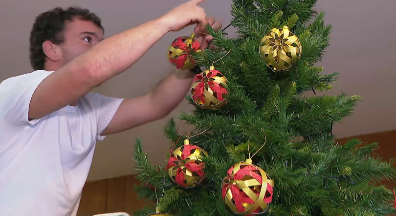 Imagem de ALRAA: Utentes dos Centros de Atividades e Inclusão da APADIF e da Santa Casa voltam a ornamentar Árvore de Natal e Presépio