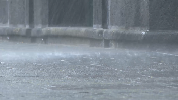 Imagem de Dia das Montras: Ribeira Grande cancela parte das atividades devido ao mau tempo